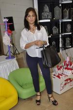 at Araish exhibition in Blue Sea on 22nd Oct 2012 (9).JPG
